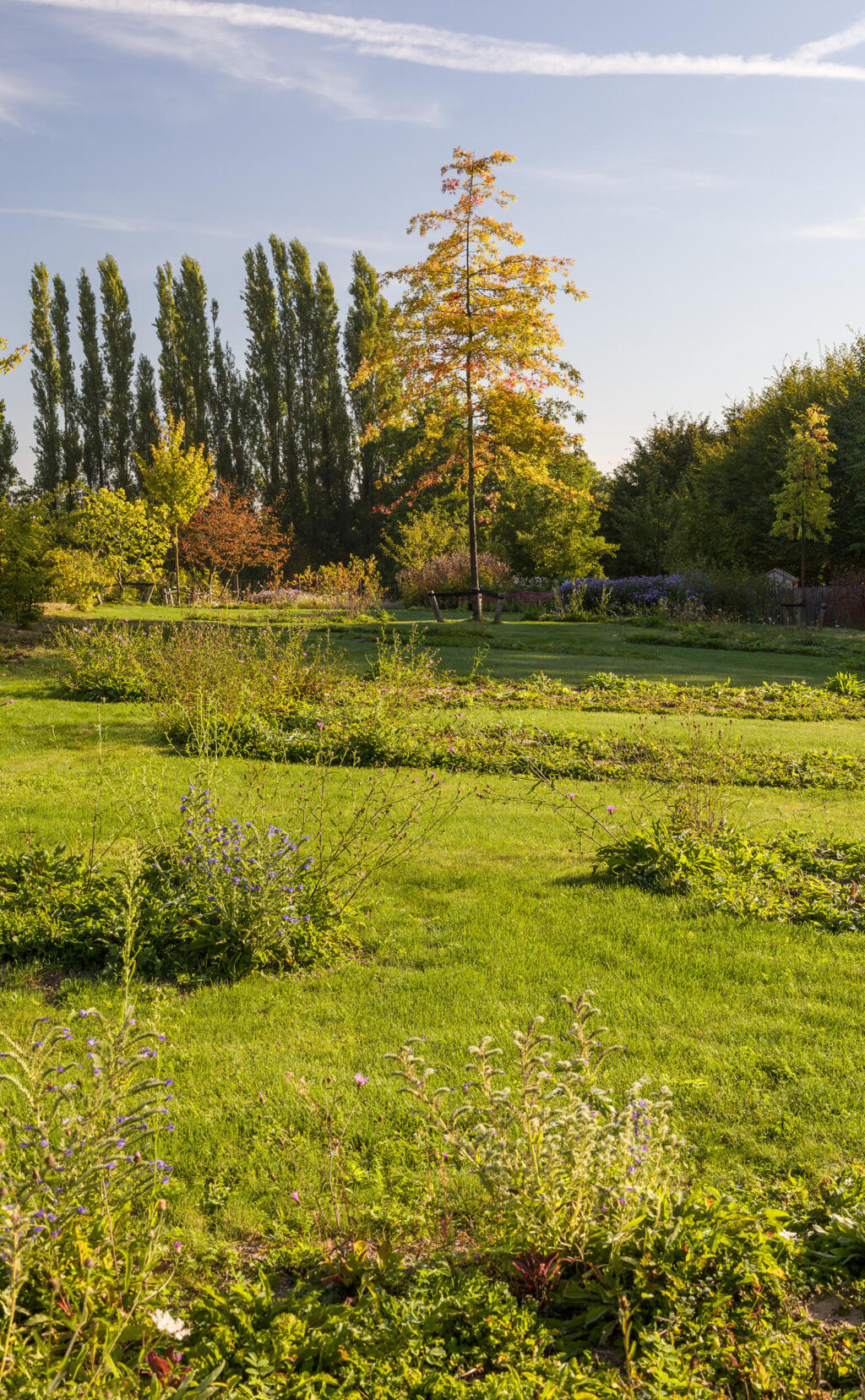 Greenarchitects stefaan willems landschapsarchitect brakel Bloeirijk grasland in natuurlijke tuin moestuin quercus landschapstuin 8
