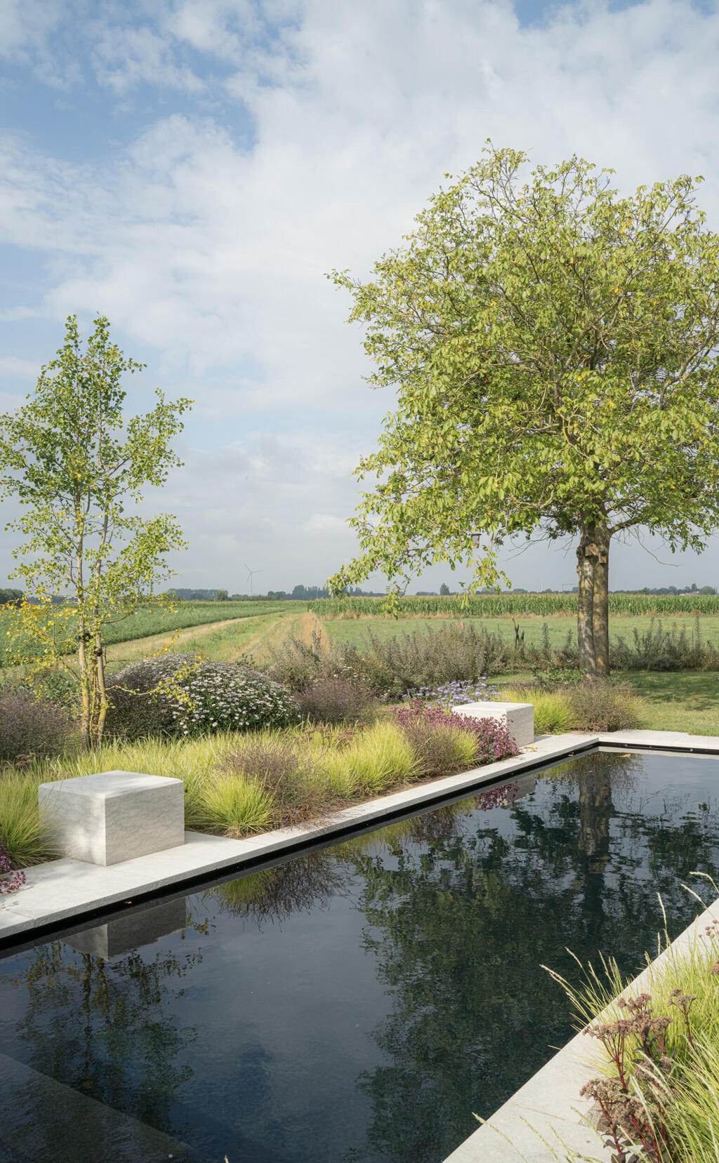Greenarchitects stefaan willems tuinontwerp natuursteen rond zwembad met biodiverse tuinplanten VI