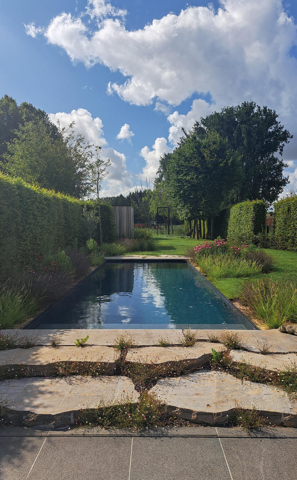Greenarchitects stefaan willems tuinarchitect haaltert biopool zwembad breuksteen muschelkalk erigeron echinacea