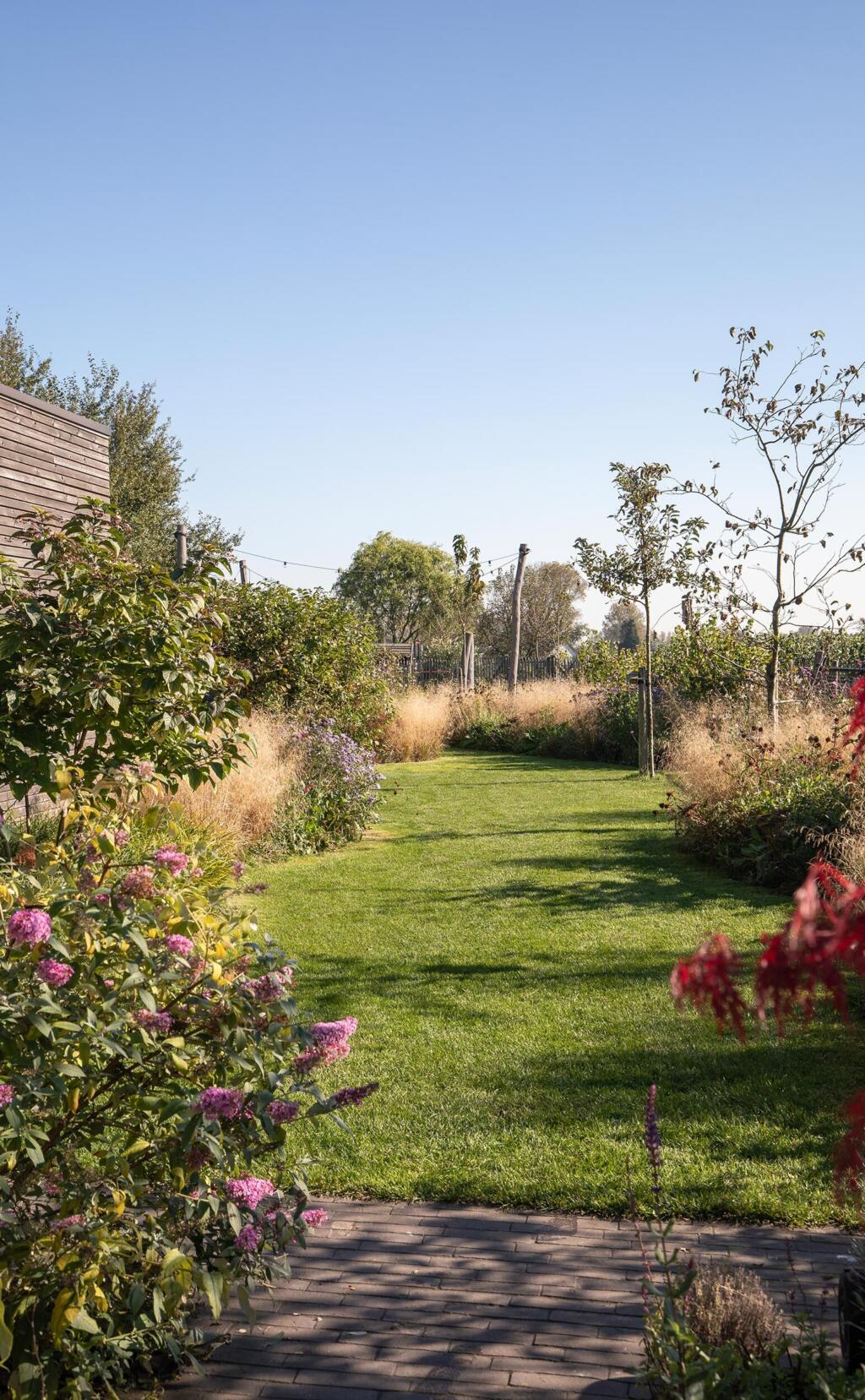 Greenarchitects stefaan willems tuinarchitect serskamp moderne woning kleiklinkers meerstammig bloeirijk grasland 01