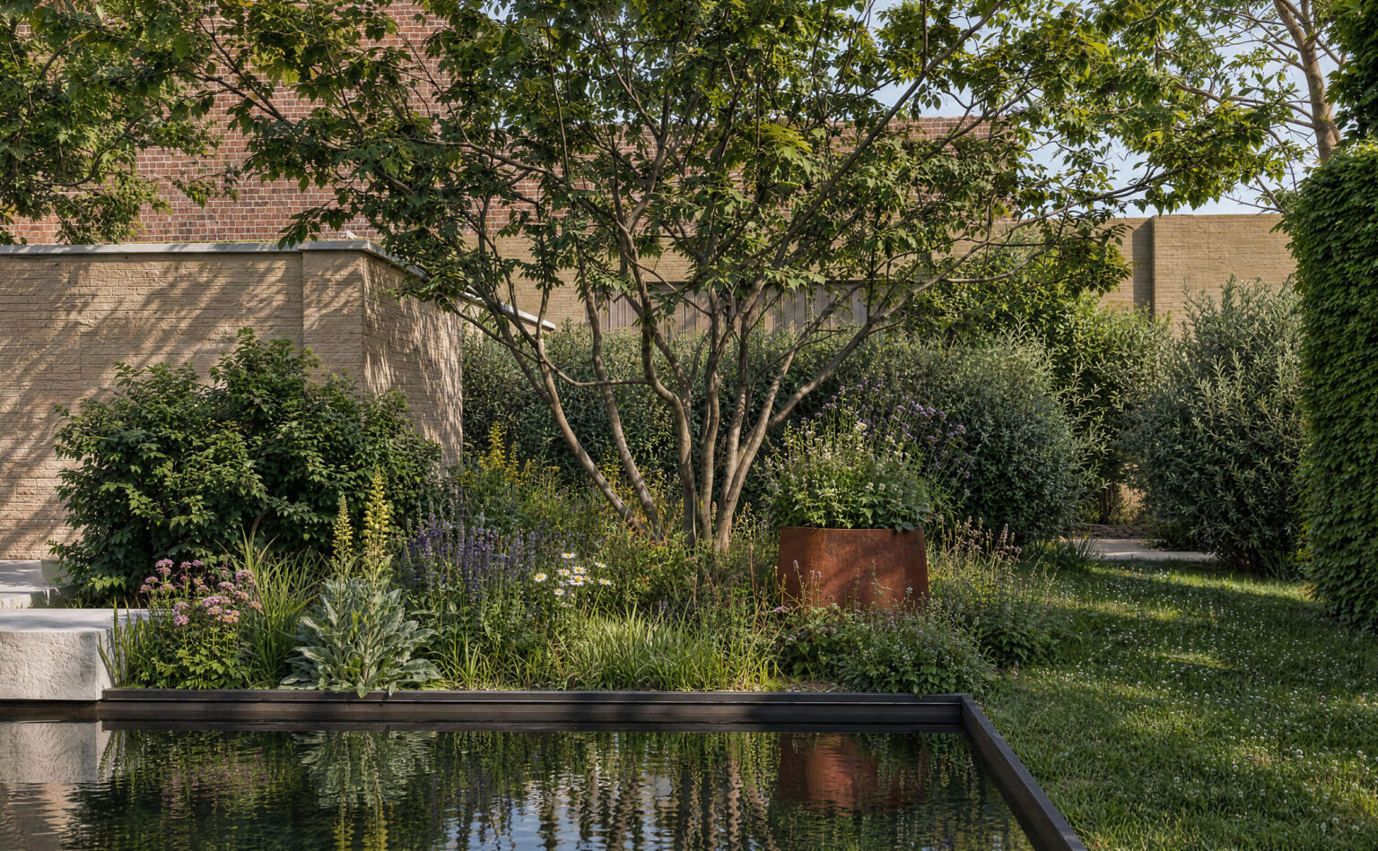 Biozwembad vaste planten meerstammige boom 06