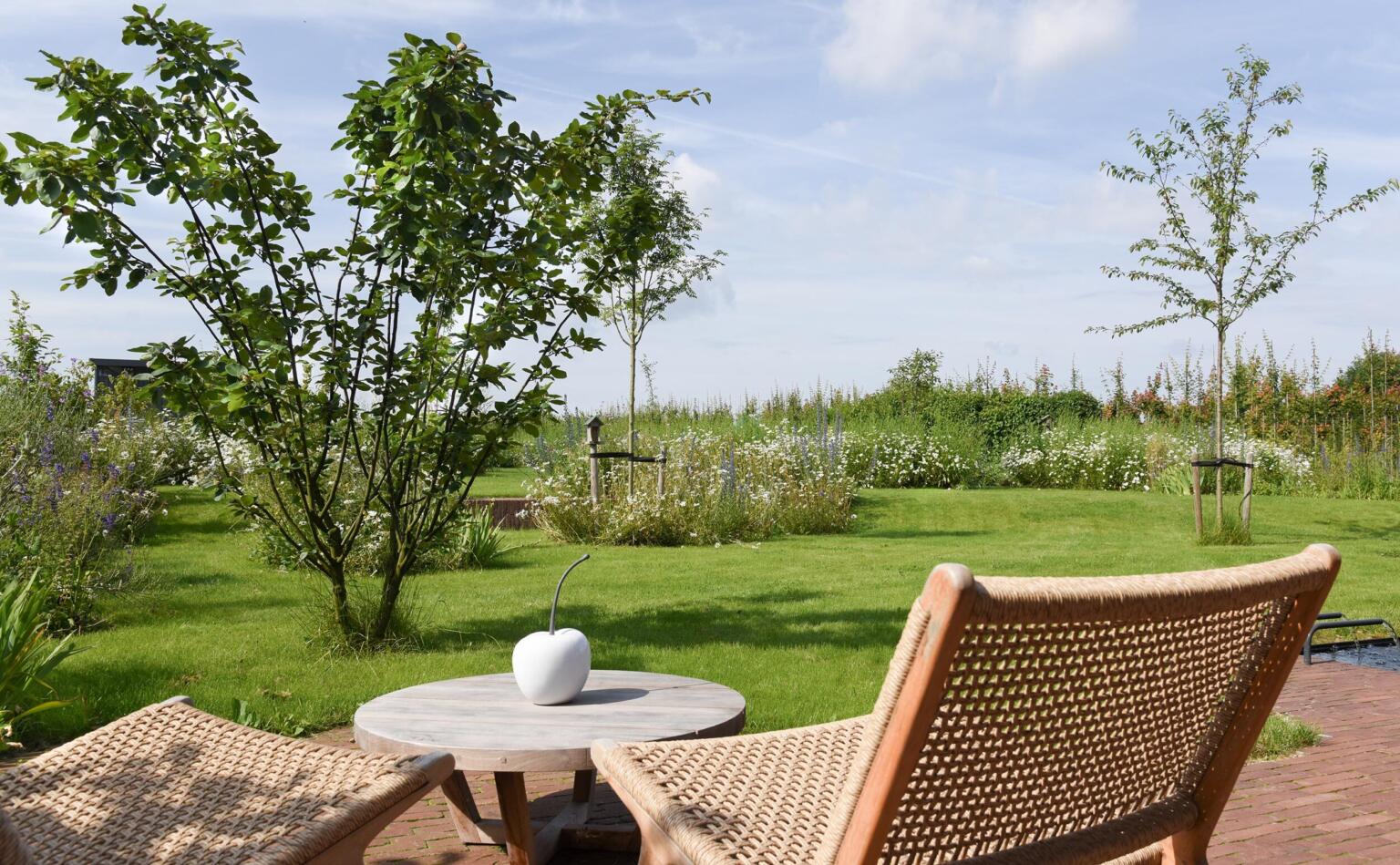Greenarchitects stefaan willems landschapsarchitect wetteren kleiklinker terras hoogstam meerstam boom bellis centaurea knautia bloemrijk bloeirijk grasland 01