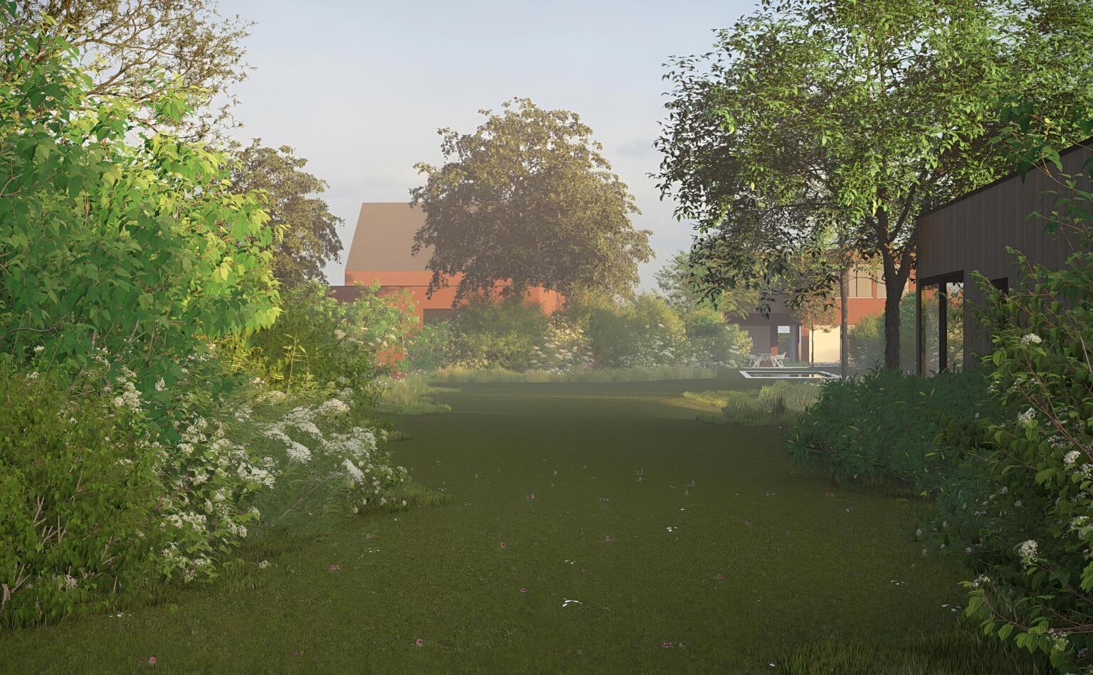 Greenarchitects stefaan willems landschapsarchitect wetteren landschapstuin ontwerp bloemrijk grasland 18