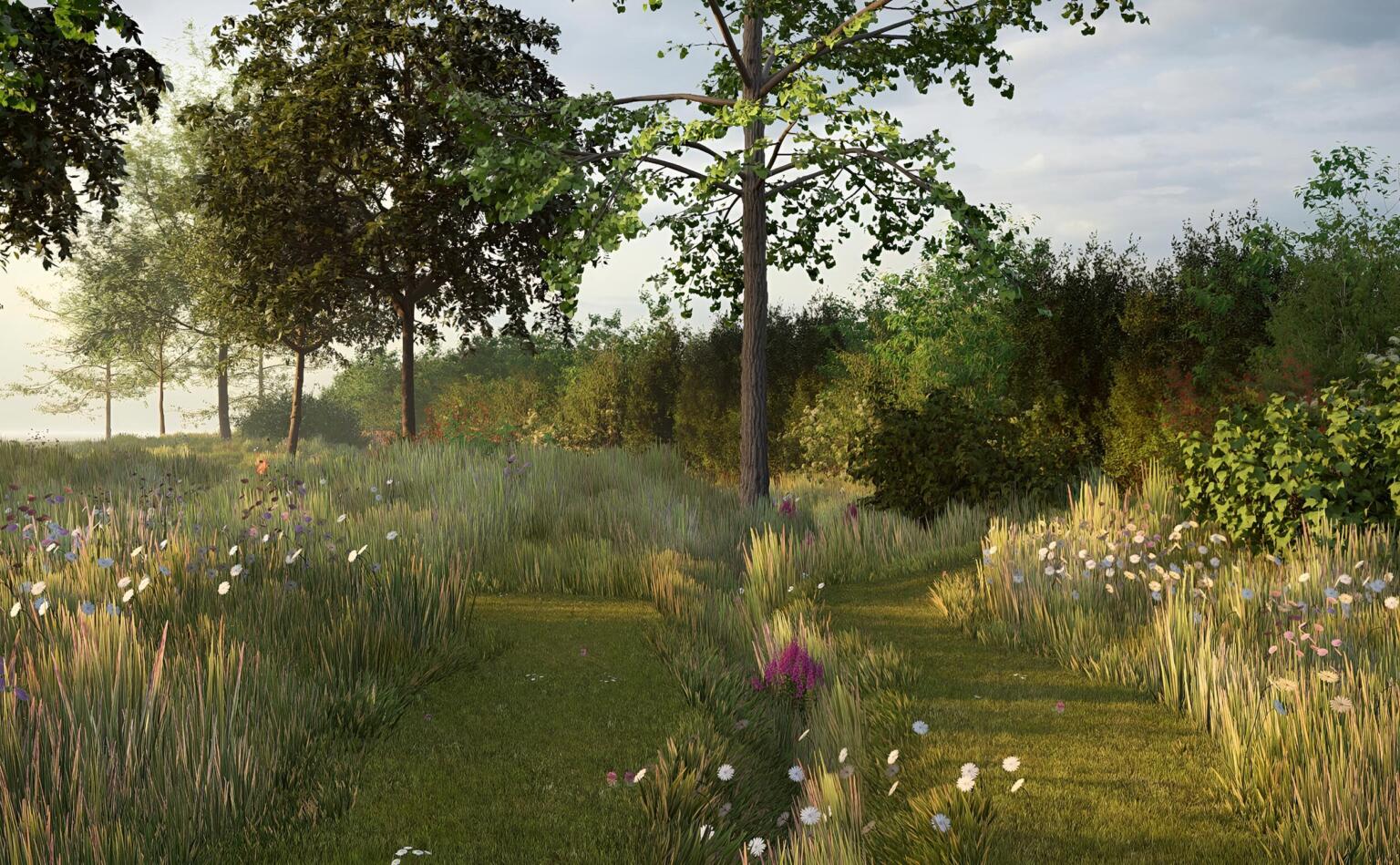 Greenarchitects stefaan willems landschapsarchitect wetteren landschapstuin ontwerp bloemrijk grasland 22