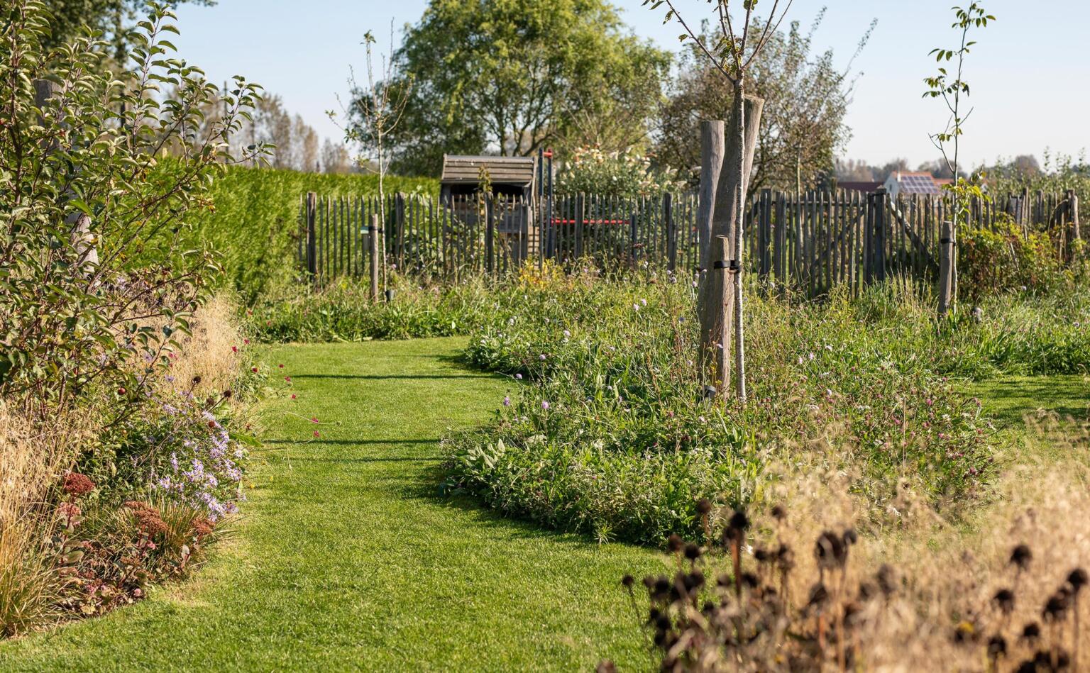 Greenarchitects stefaan willems tuinarchitect serskamp kastanje afsluiting aronia bloeirijk grasland aster 01