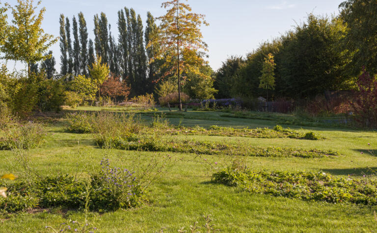 Greenarchitects stefaan willems landschapsarchitect brakel Bloeirijk grasland in natuurlijke tuin moestuin quercus landschapstuin 1