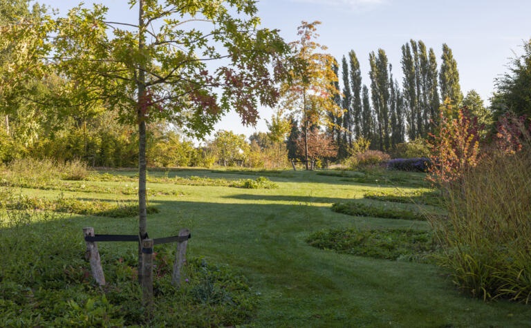 Greenarchitects stefaan willems landschapsarchitect brakel Bloeirijk grasland in natuurlijke tuin moestuin quercus landschapstuin 7