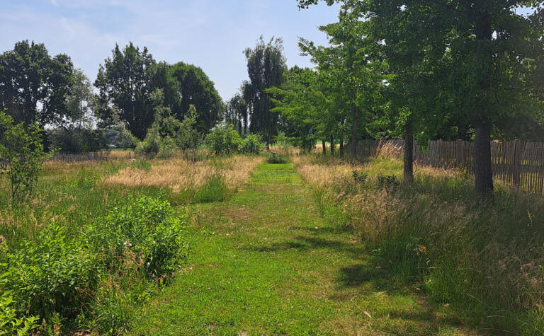 Greenarchitects laarne herne natuurlijke tuin met bloeirijk grasland en bijgebouw 50