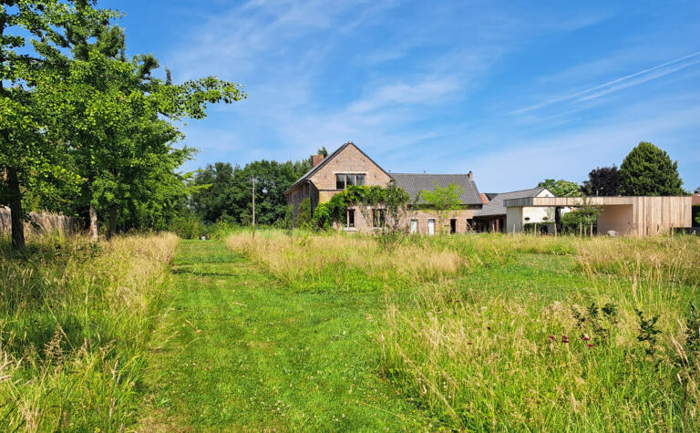 Greenarchitects laarne herne natuurlijke tuin met bloeirijk grasland en bijgebouw 54