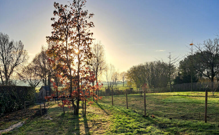Greenarchitects laarne herne natuurlijke tuin met bloeirijk grasland en bijgebouw 59