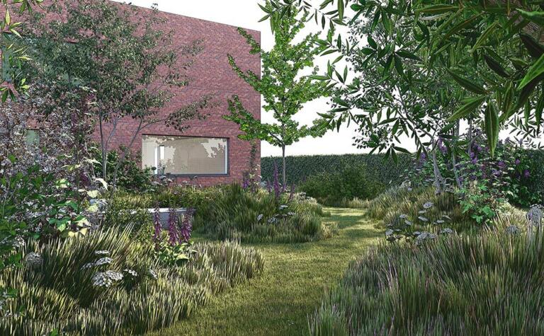 Greenarchitects stefaan willems landschapsarchitect laarne moderne woning hoogtes hoogstam meerstam boom heester haag grassen vaste planten varens gazonpaden insectentuin biodivers 01