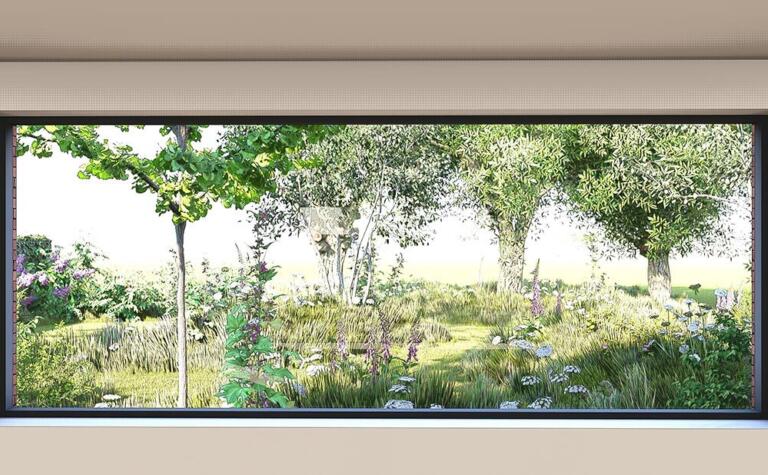 Greenarchitects stefaan willems landschapsarchitect laarne moderne woning knotboom salix hoogstam boom heester haag grassen vaste planten varens soortenrijk insecten bijen vlinder 01