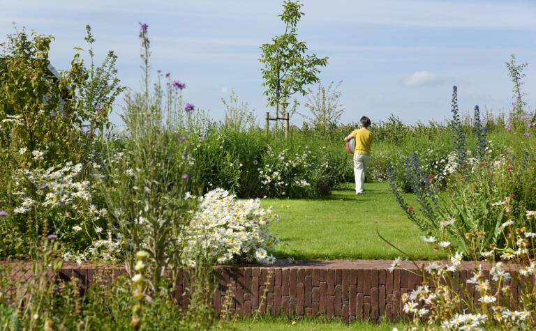Greenarchitects stefaan willems landschapsarchitect wetteren keerwand zitbank kleiklinker taluds relief hoogstam boom kalimeris bloemrijk grasland 01