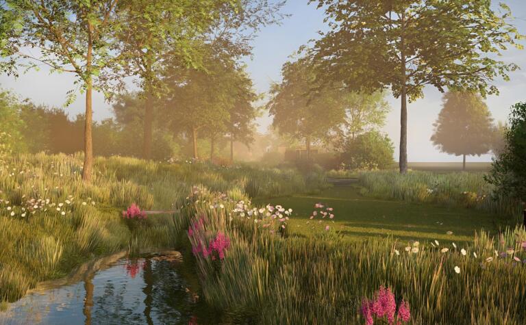 Greenarchitects stefaan willems landschapsarchitect wetteren landschapstuin ontwerp bloemrijk grasland 26