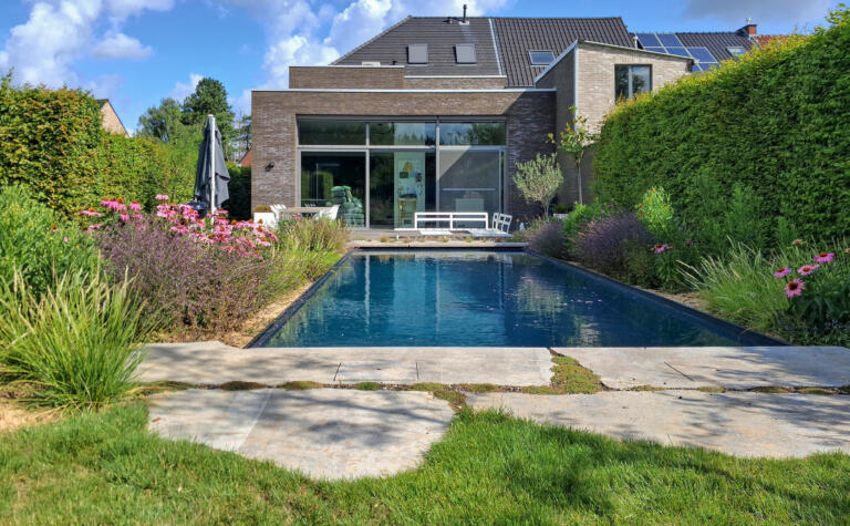 Greenarchitects stefaan willems tuinarchitect haaltert biopool zwembad breuksteen muschelkalk erigeron echinacea3