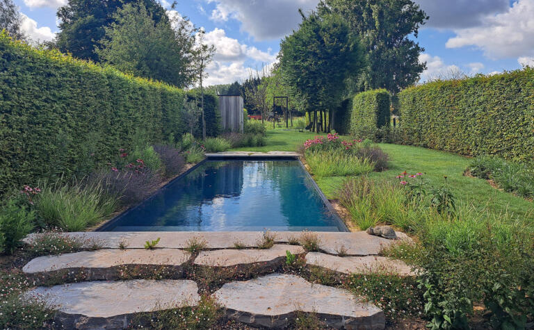 Greenarchitects stefaan willems tuinarchitect haaltert biopool zwembad breuksteen muschelkalk erigeron echinacea4
