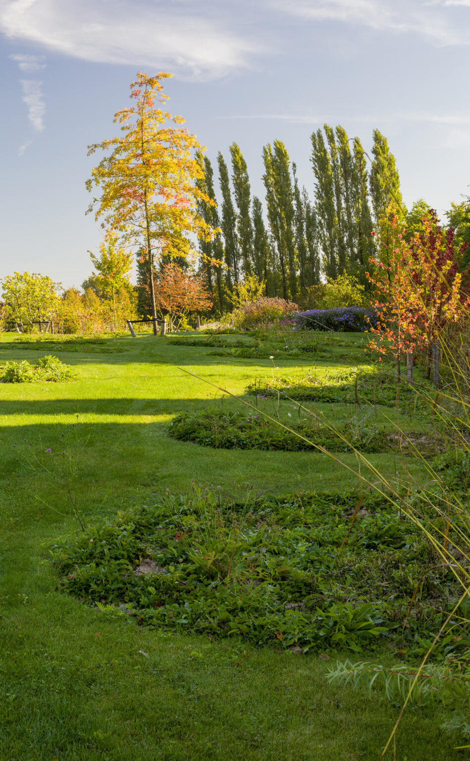 Greenarchitects stefaan willems landschapsarchitect brakel Bloeirijk grasland in natuurlijke tuin moestuin quercus landschapstuin 2