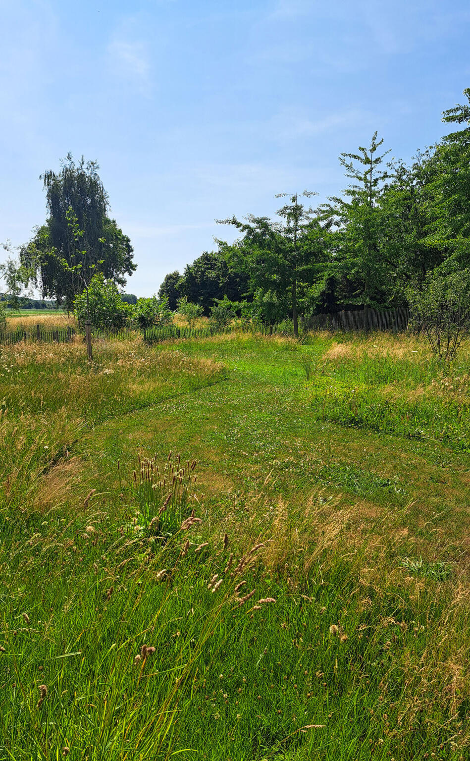 Greenarchitects laarne herne natuurlijke tuin met bloeirijk grasland en bijgebouw 52