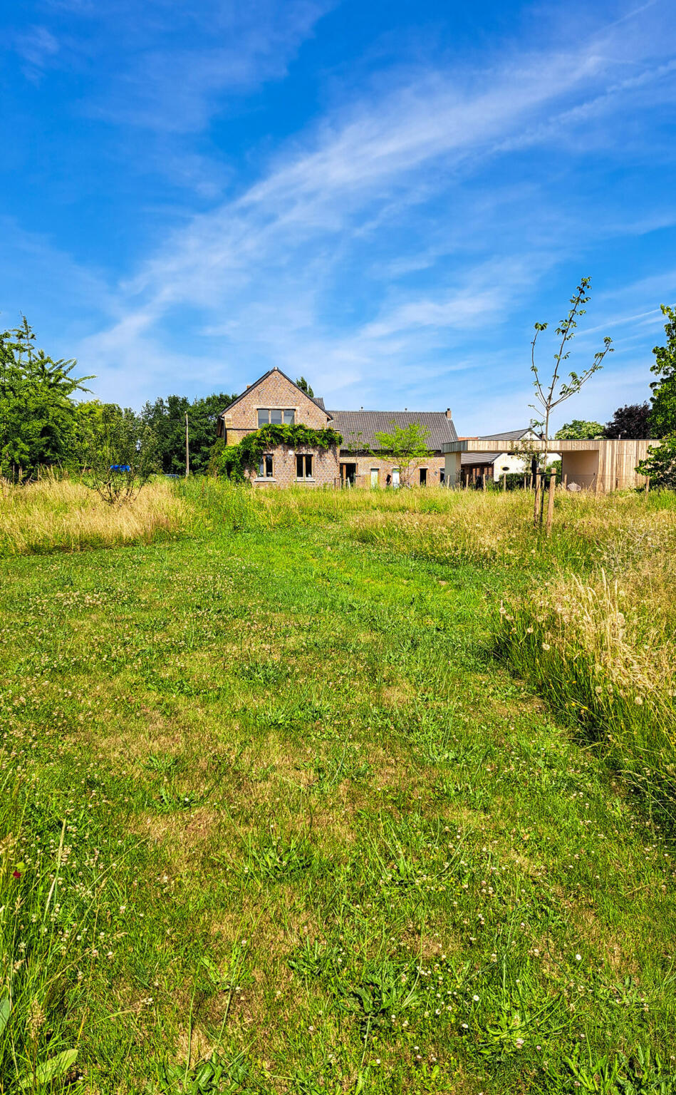 Greenarchitects laarne herne natuurlijke tuin met bloeirijk grasland en bijgebouw 53