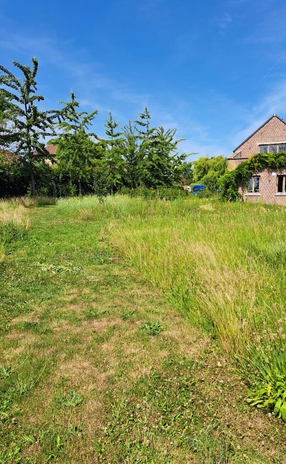 Greenarchitects laarne herne natuurlijke tuin met bloeirijk grasland en bijgebouw 55