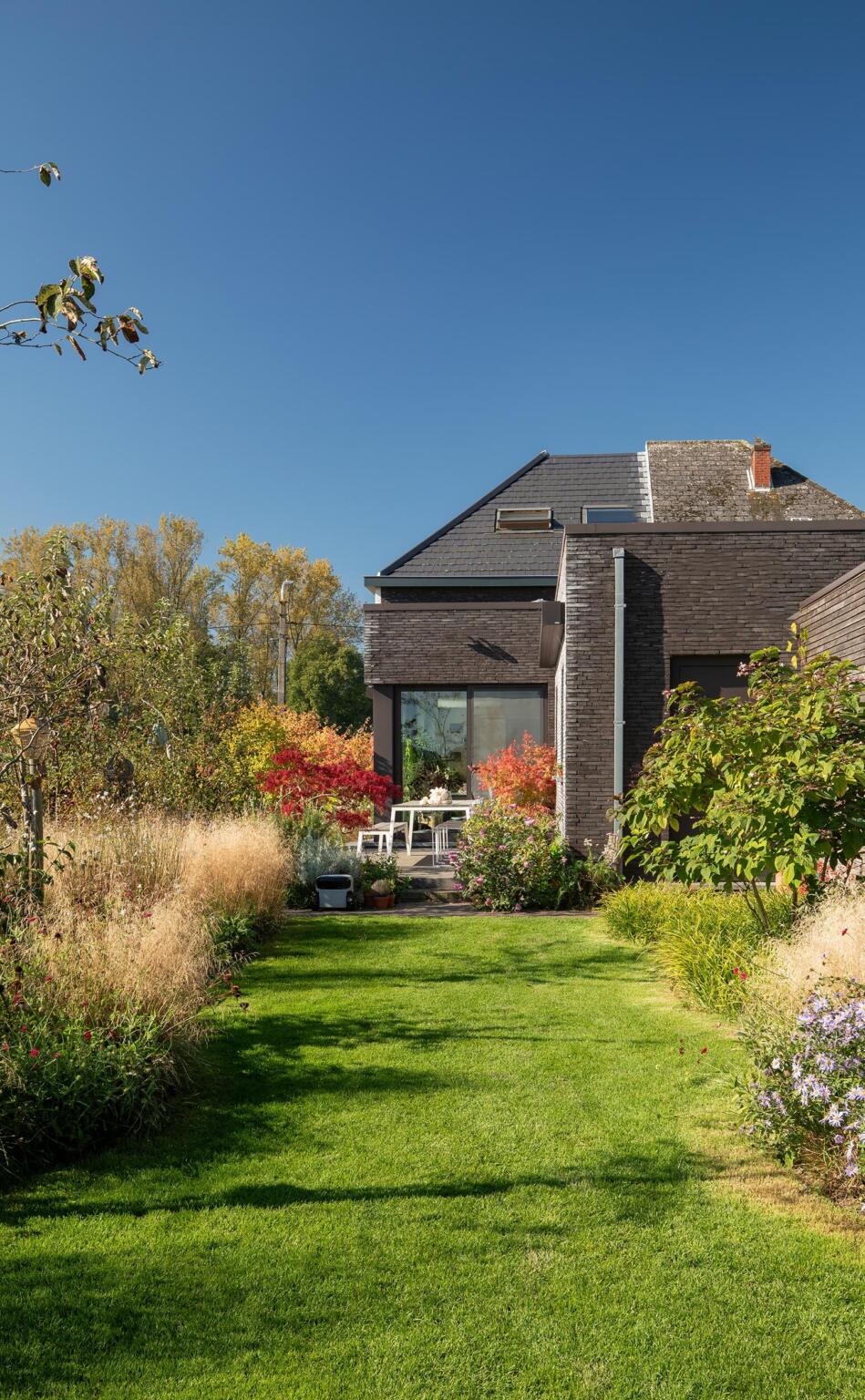 Greenarchitects stefaan willems landschapsarchitect serskamp moderne woning terras tegels sesleria aster 01