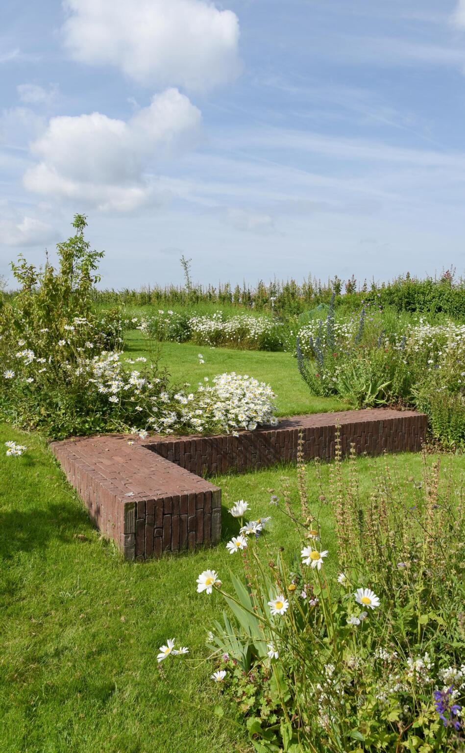 Greenarchitects stefaan willems landschapsarchitect wetteren keerwand zitbank kleiklinker taluds relief hoogstam boom bellis centaurea knautia bloemrijk bloeirijk grasland 01