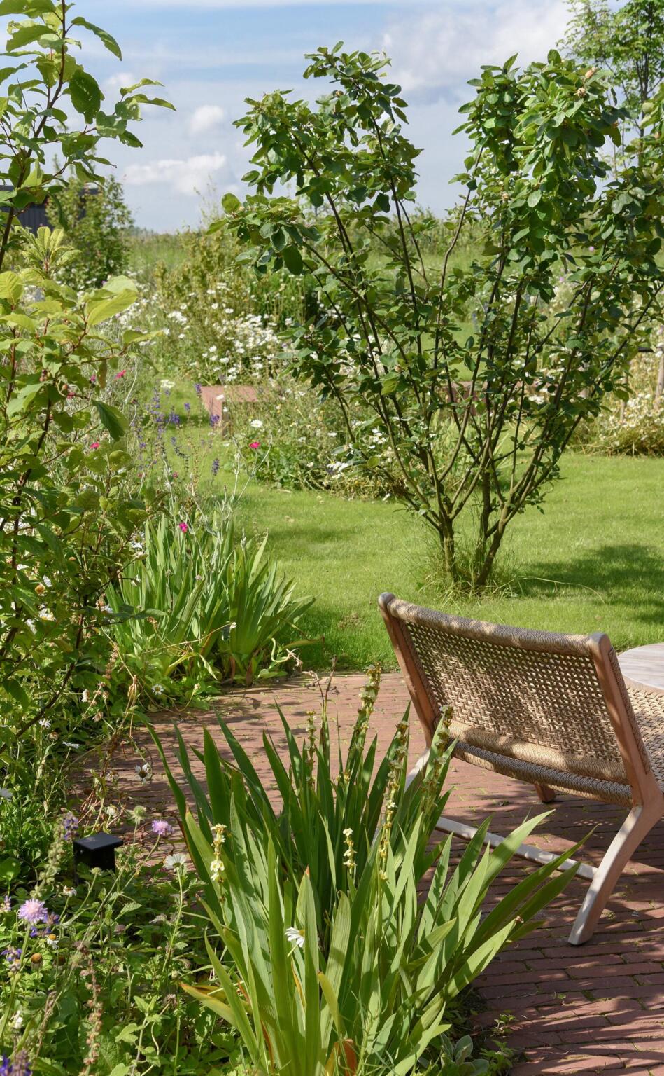 Greenarchitects stefaan willems landschapsarchitect wetteren kleiklinker terras hoogstam meerstam boom bellis centaurea knautia bloemrijk bloeirijk grasland 02