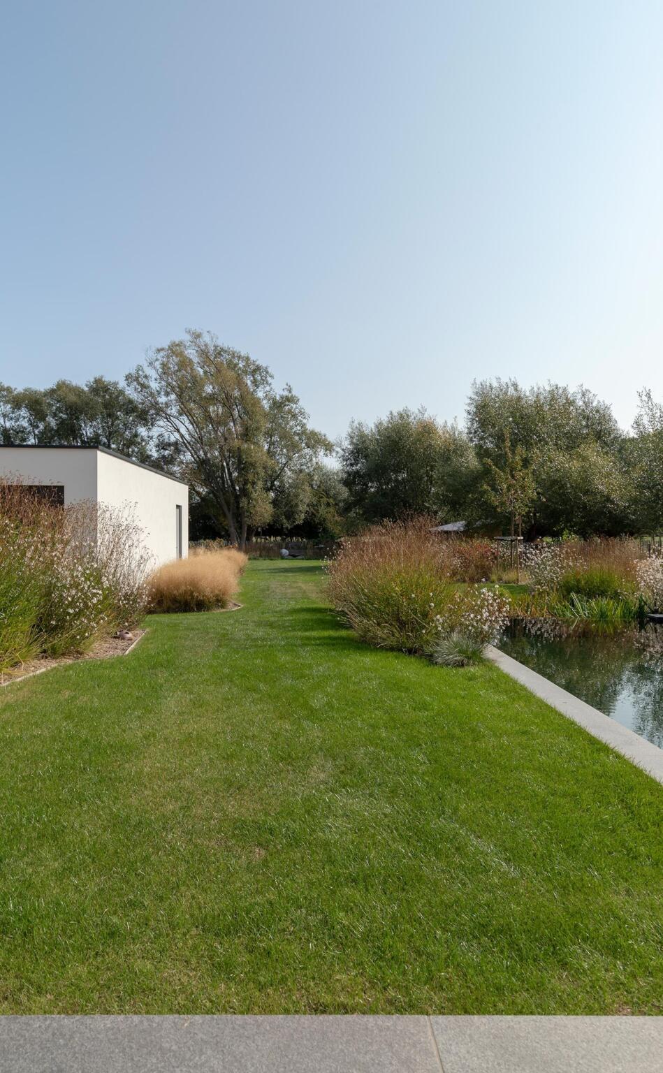Greenarchitects stefaan willems tuinarchitect ninove modern bijgebouw hoogstam boom knotboom salix gaura sesleria molinia deschampsia vogel insectentuin 01