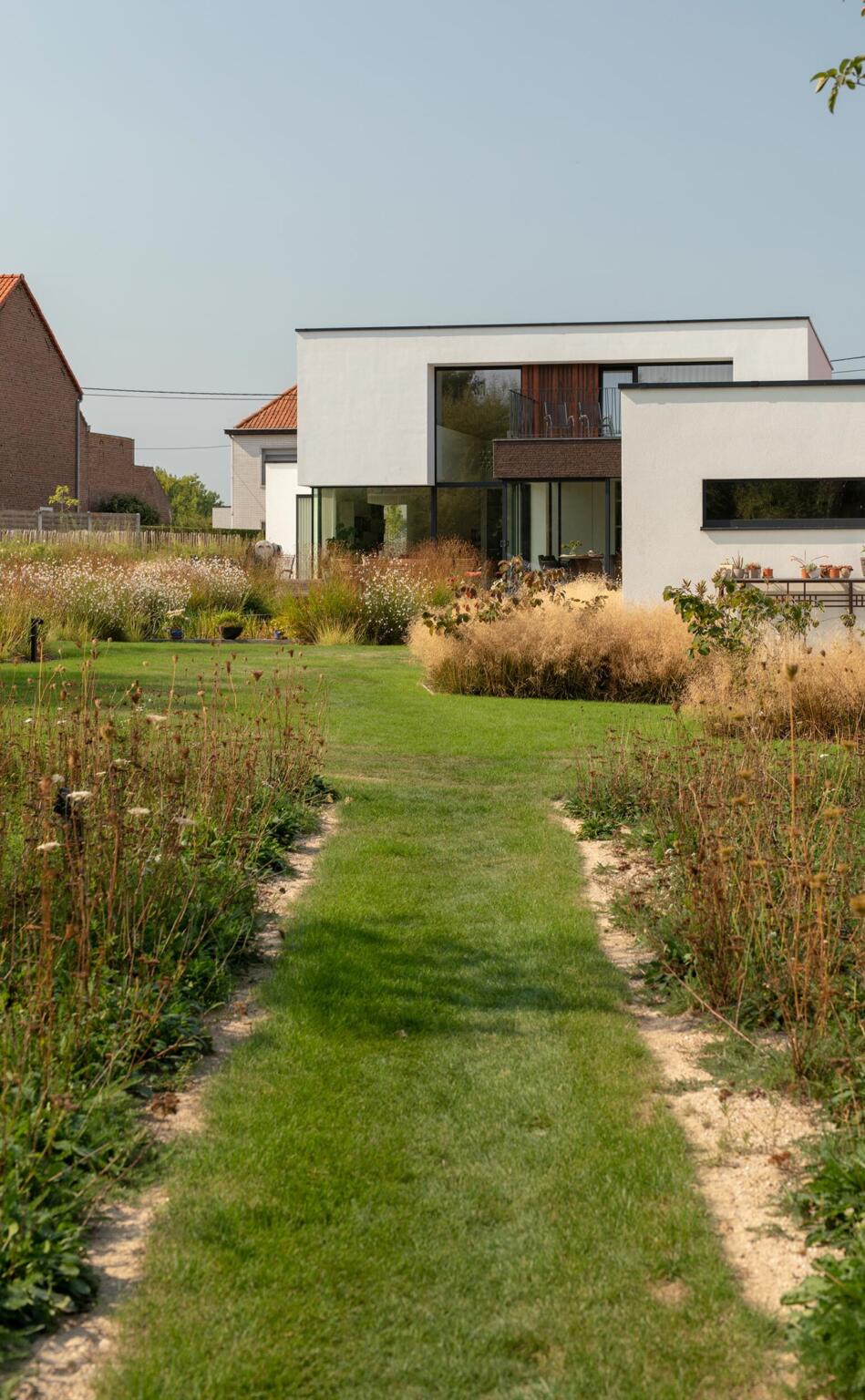 Greenarchitects stefaan willems tuinarchitect ninove moderne woning bigebouw crepi deschampsia gaura molinia sesleria bloemrijk grasland insectentuin biodivers 01