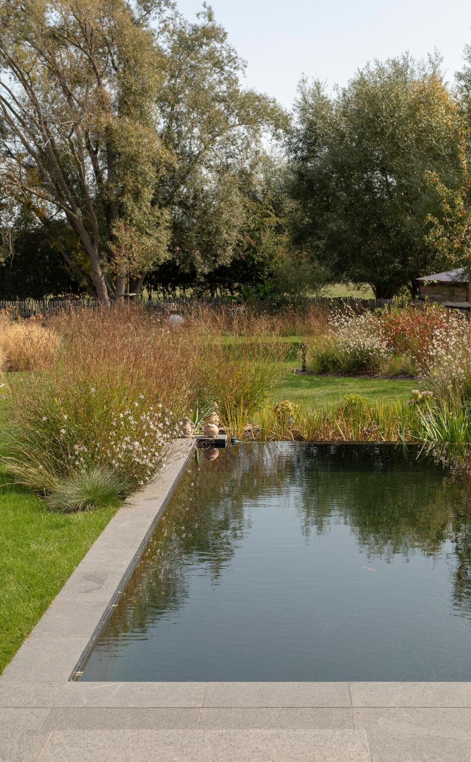 Greenarchitects stefaan willems tuinarchitect ninove zwemvijver filterbak lavasteen hoogstam boom gaura sesleria molinia insectenlokkend 02