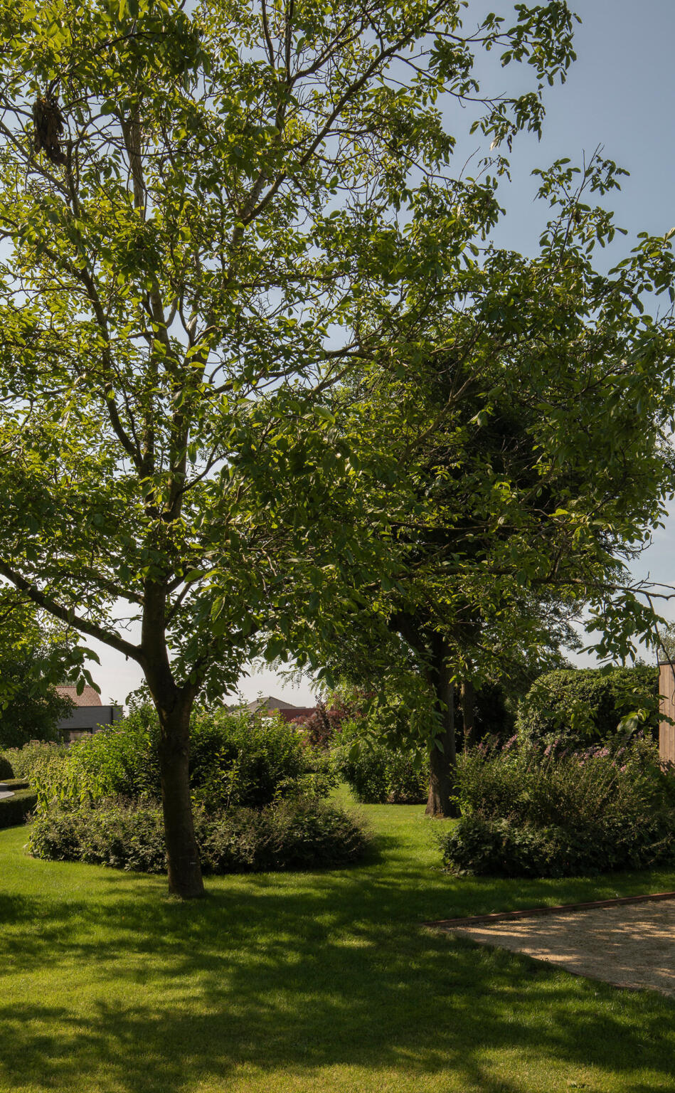 Greenarchitects stefaan willems tuinarchitect ontwerp petanque petanquebaan bomen 1