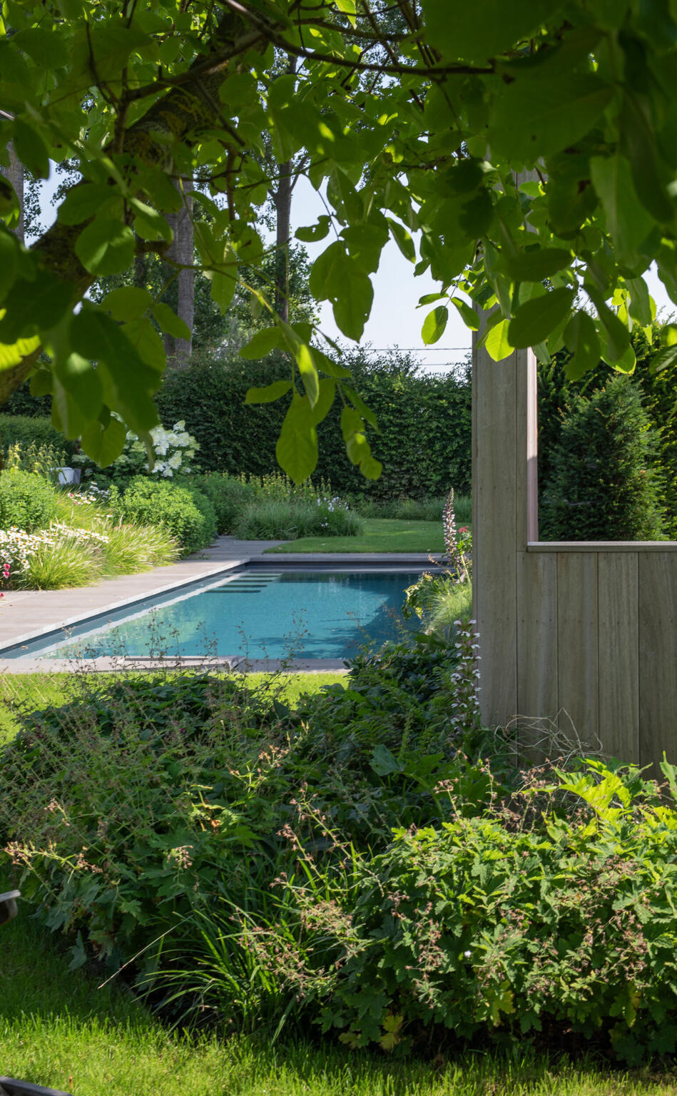 Greenarchitects stefaan willems tuinarchitect ontwerp zwembad te lochristi basalt natuursteentegels 6