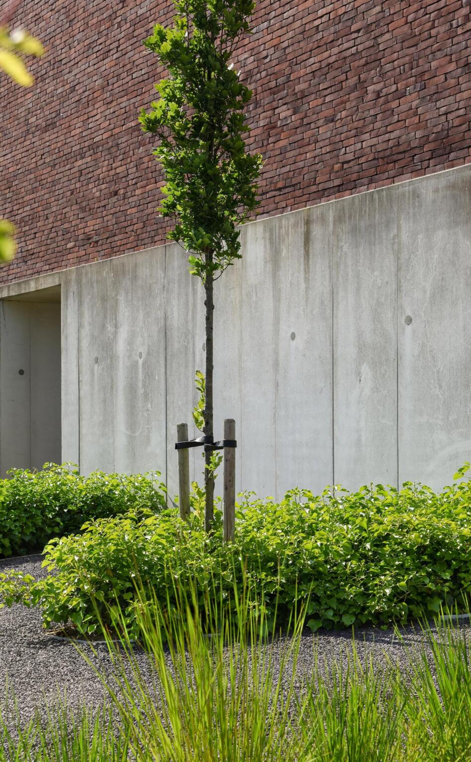 Greenarchitects stefaan willems tuinarchitect wetteren moderne woning soortenrijke voortuin kleiklinker gevelsteen vande moortel euphorbia hedera carex 02