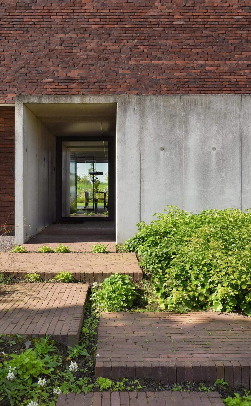 Greenarchitects stefaan willems tuinarchitect wetteren moderne woning soortenrijke voortuin kleiklinker gevelsteen vande moortel euphorbia hedera carex 03