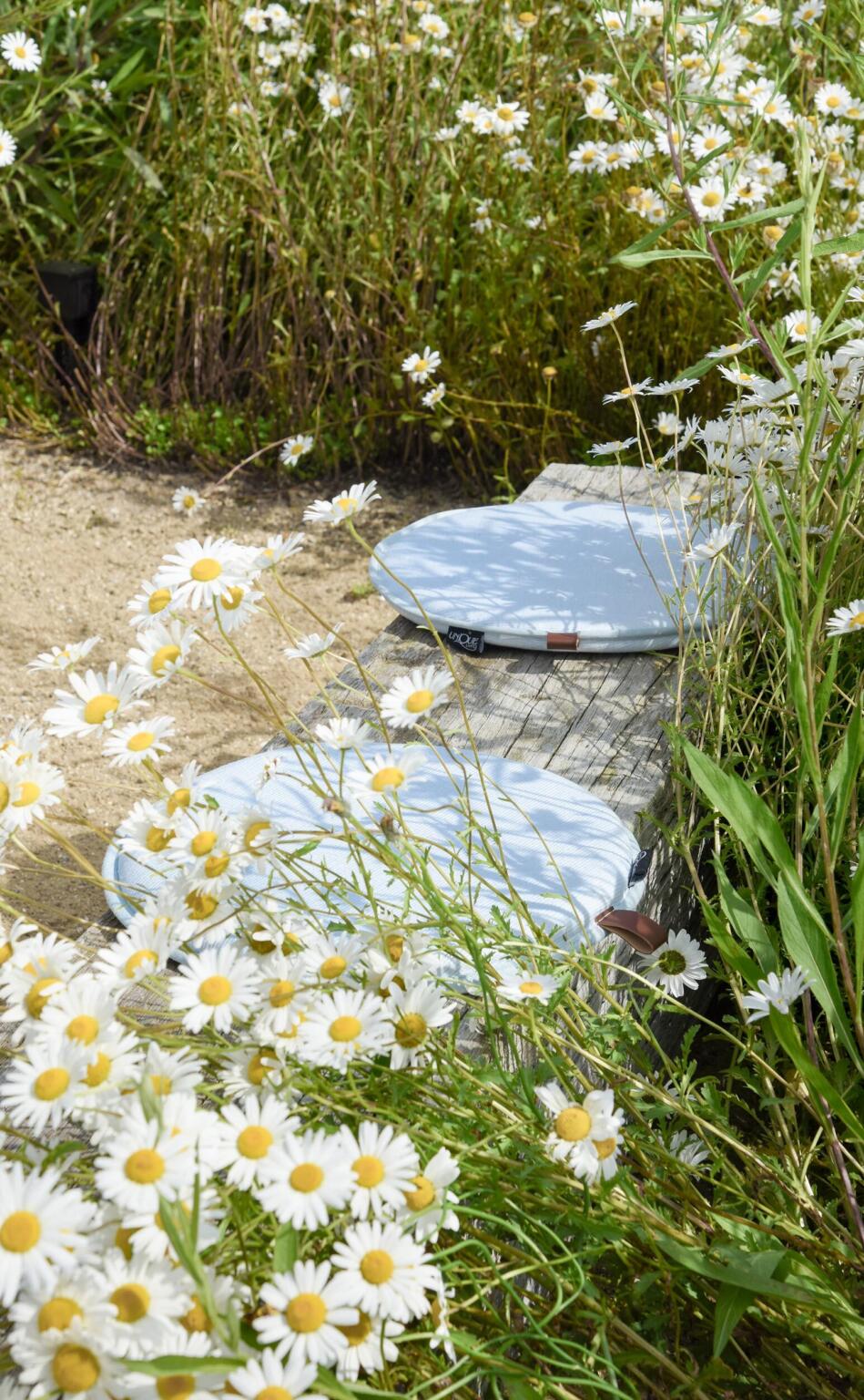 Greenarchitects stefaan willems tuinarchitect wetteren natuurlijke tuin biodivers zithoek zitbank meerpaal hoogstam boom bellis centaurea bloeirijk bloemrijk grasland insectenlokkend 03