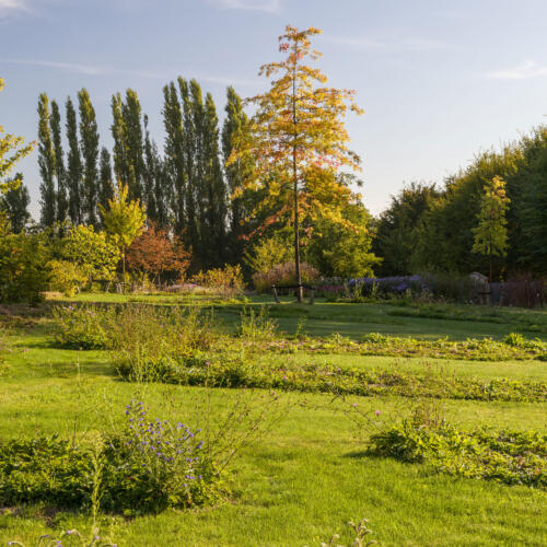 Greenarchitects stefaan willems landschapsarchitect brakel Bloeirijk grasland in natuurlijke tuin moestuin quercus landschapstuin V