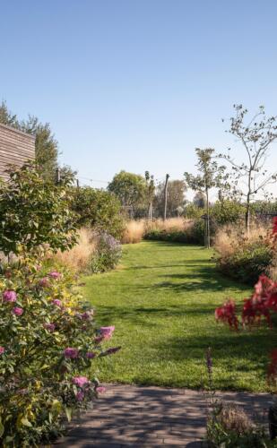 Greenarchitects stefaan willems tuinarchitect serskamp moderne woning kleiklinkers meerstammig bloeirijk grasland 01