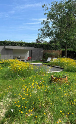 Greenarchitects stefaan willems tuinarchitect tuinontwerp natuurlijke tuin met zwemvijver en bijgebouw VI