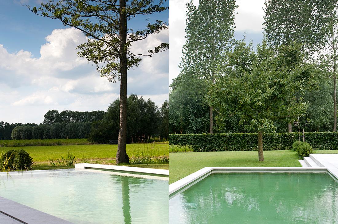 160-landschappelijk-infinity-zwemvijver-moestuin-keramische-tegels-tuin-architect-gemaaid-59.jpg